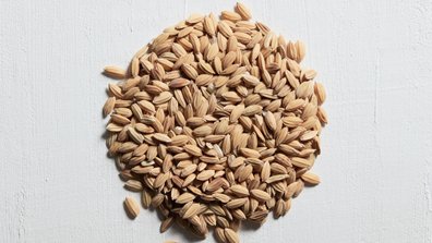 Finest Ingredients On Earth Article 6 Kérastase